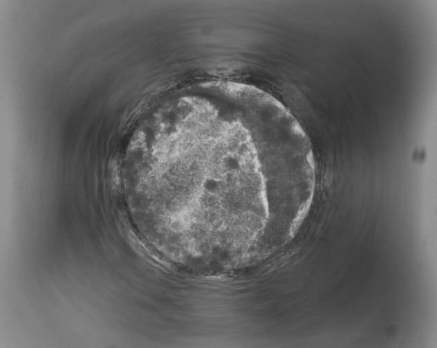 X0000113961106200911061319
