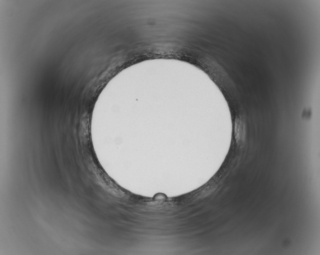X0000113961107200911061319
