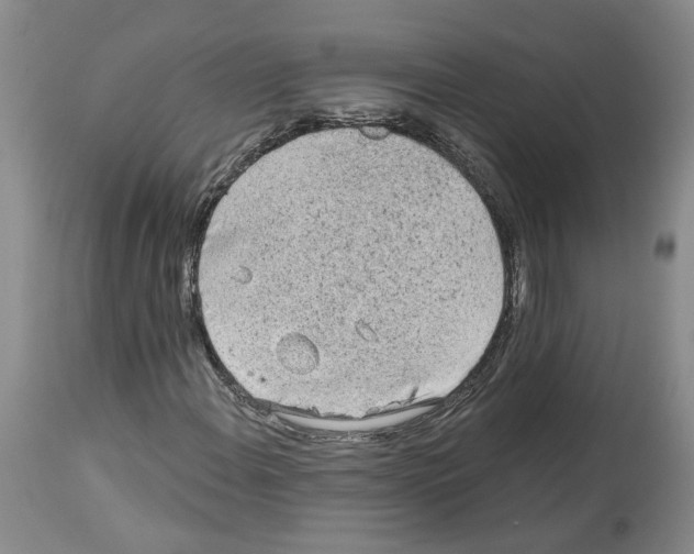 X0000113961108200911061319