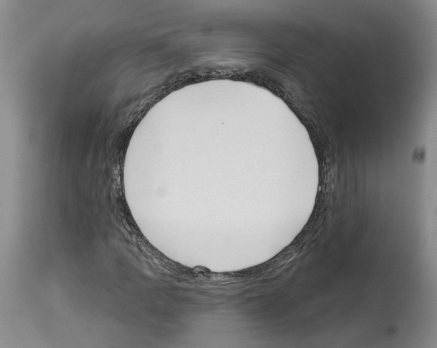 X0000113961109200911061319