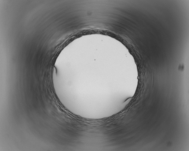 X0000113961110200911061319
