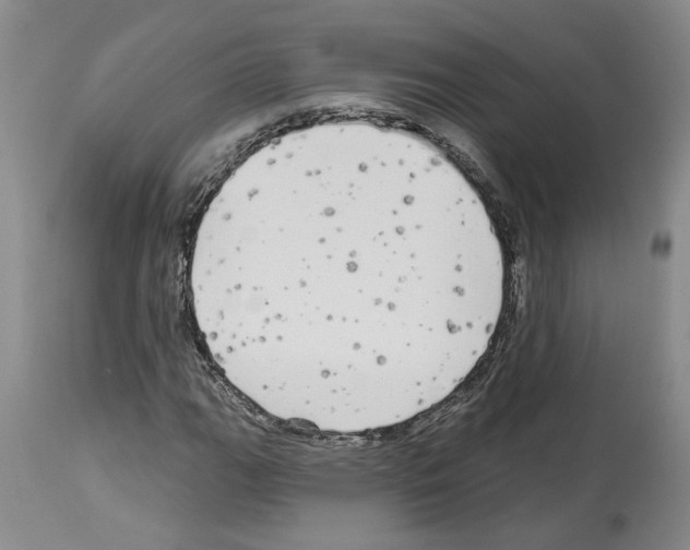 X0000113961111200911061319