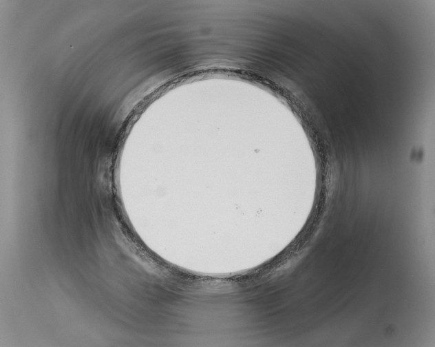 X0000113961113200911061319