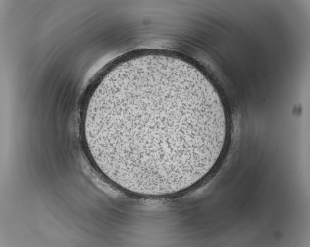 X0000113961114200911061319