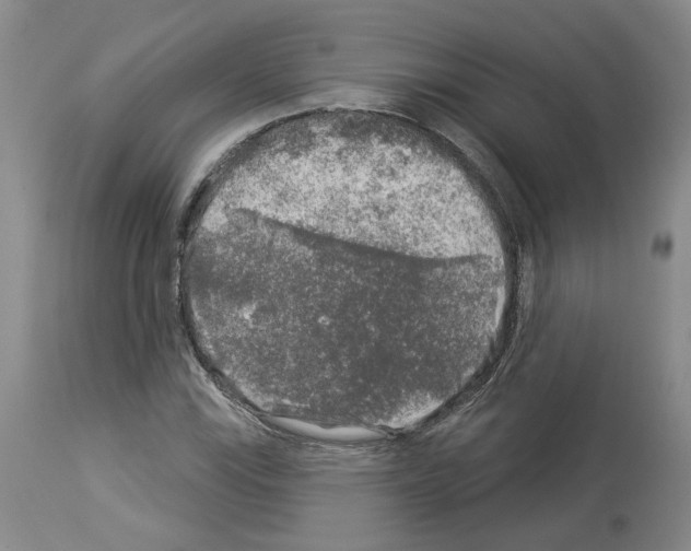X0000113961115200911061319
