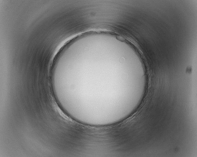 X0000113961116200911061319