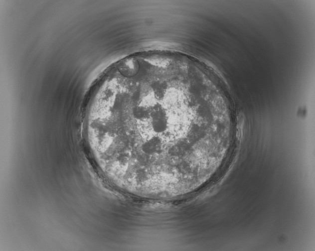 X0000113961117200911061319
