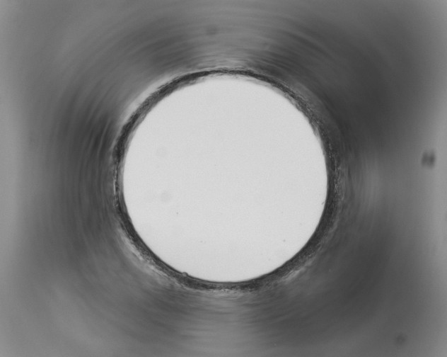 X0000113961118200911061319