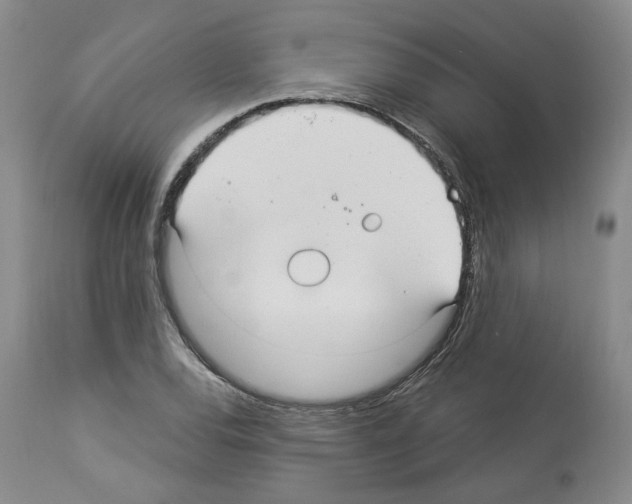 X0000113961120200911061319