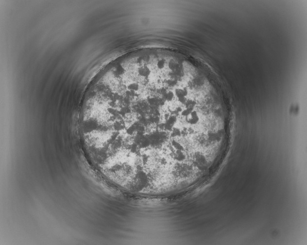 X0000113961121200911061319