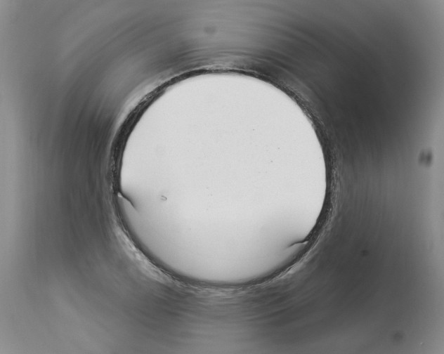 X0000113961122200911061319