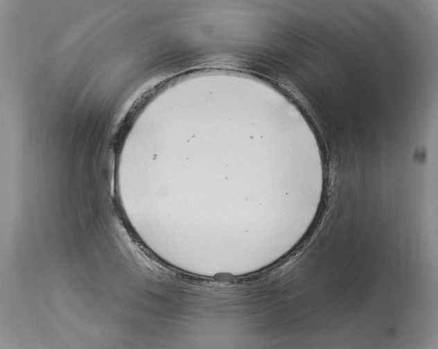 X0000113961123200911061319