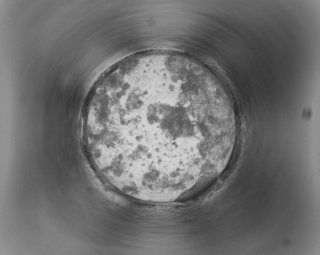 X0000113961125200911061319