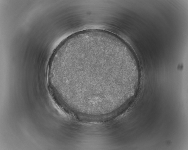 X0000113961127200911061319