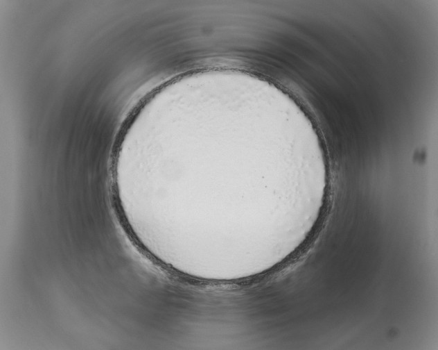X0000113961133200911061320