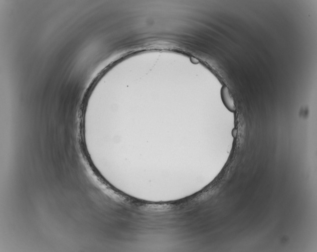 X0000113961134200911061320