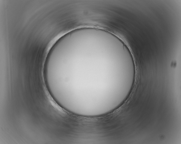X0000113961136200911061320