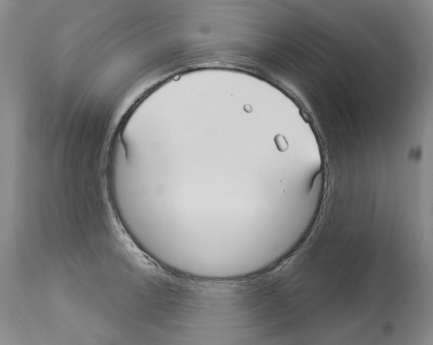 X0000113961138200911061320