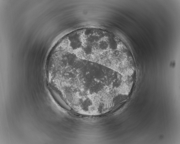 X0000113961141200911061320