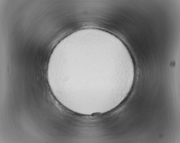 X0000113961145200911061320