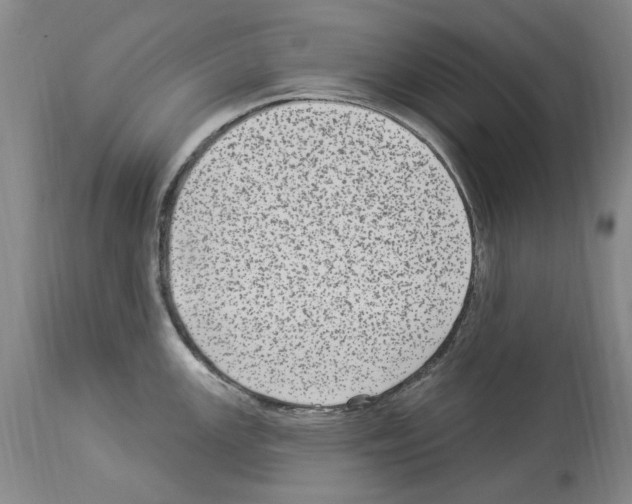 X0000113961147200911061320