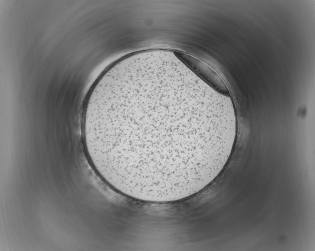 X0000113961148200911061320