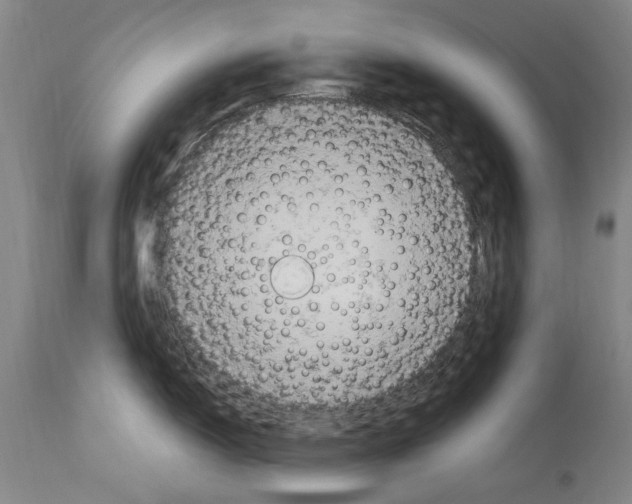 X0000113961150200911061320
