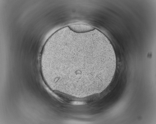 X0000113961151200911061320
