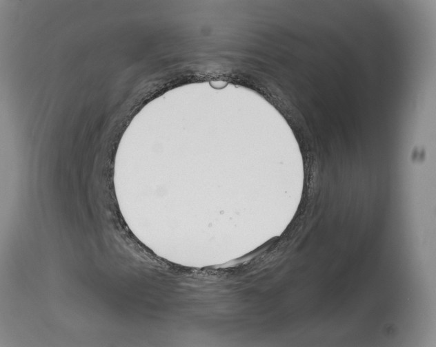 X0000113961153200911061319