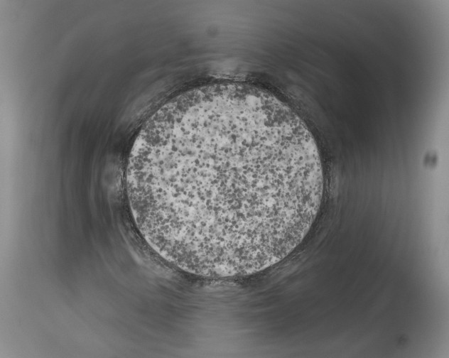 X0000113961154200911061319
