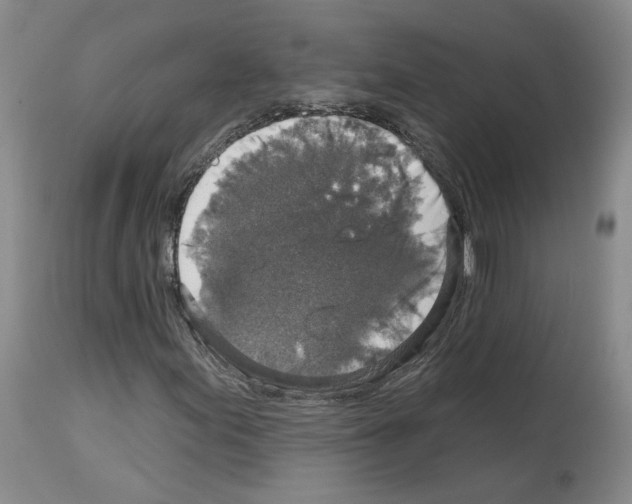 X0000113961155200911061319
