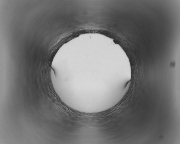 X0000113961157200911061319