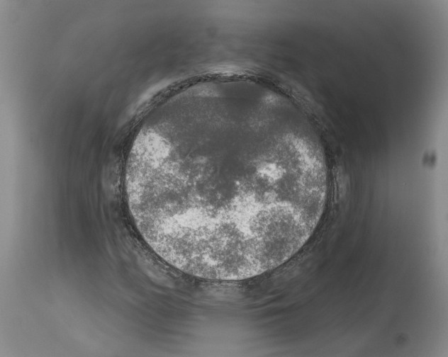 X0000113961158200911061319