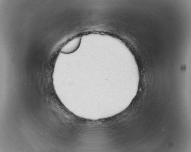 X0000113961159200911061319