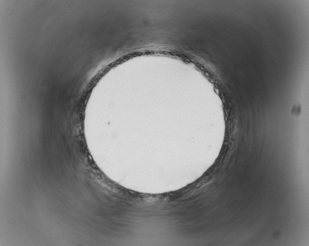 X0000113961160200911061319