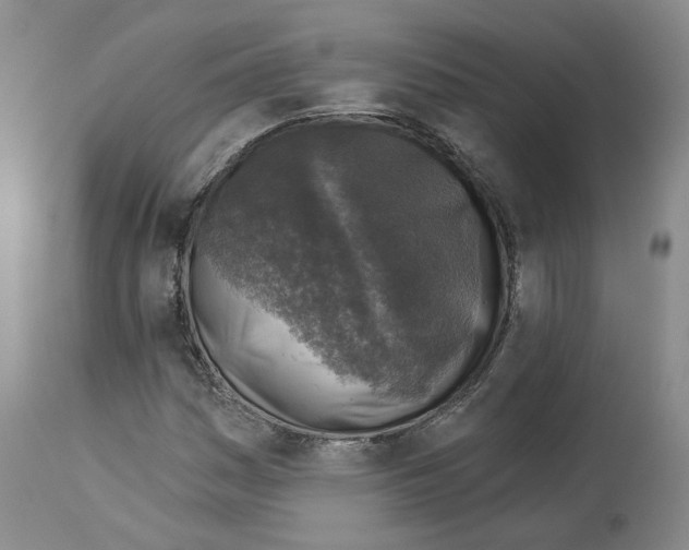 X0000113961161200911061319