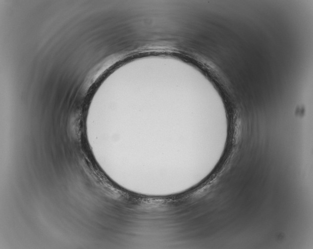 X0000113961162200911061319