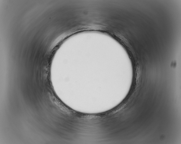 X0000113961163200911061319
