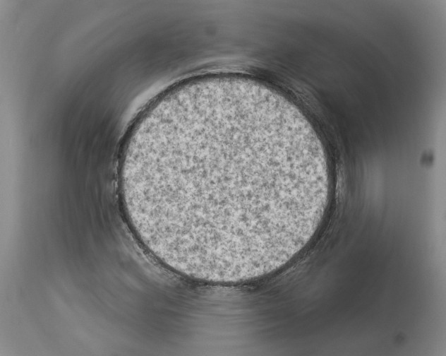 X0000113961164200911061319
