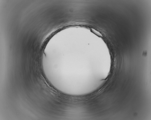 X0000113961165200911061319