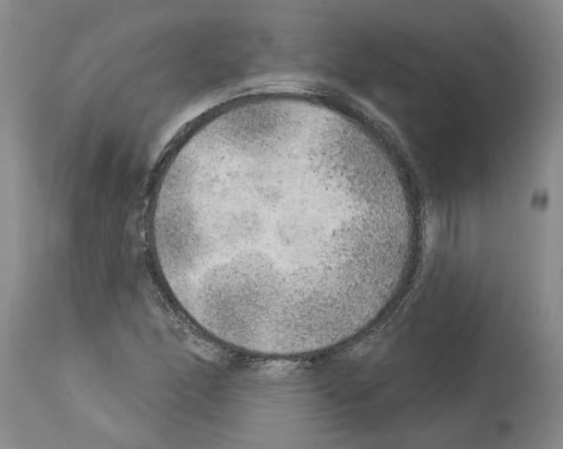 X0000113961166200911061319