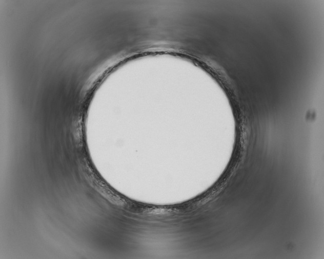 X0000113961167200911061319
