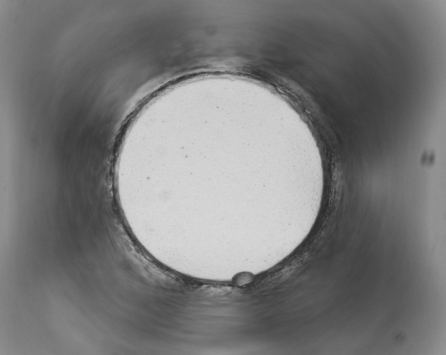 X0000113961168200911061319