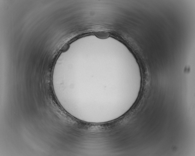 X0000113961169200911061319