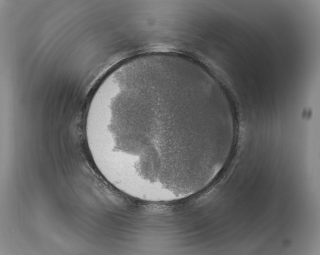 X0000113961170200911061319