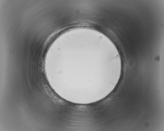X0000113961172200911061319