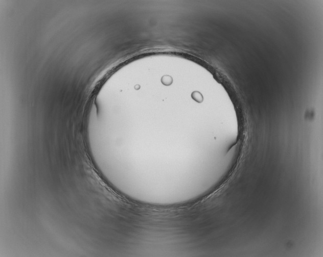 X0000113961173200911061319