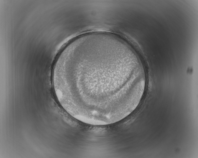 X0000113961174200911061319