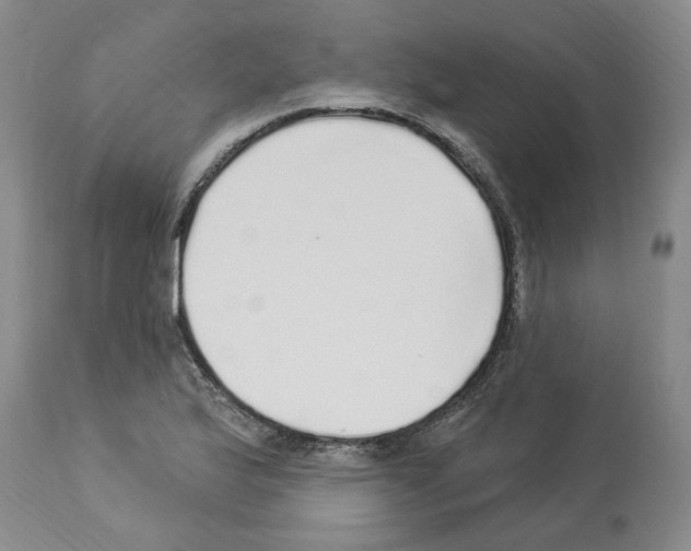 X0000113961175200911061319