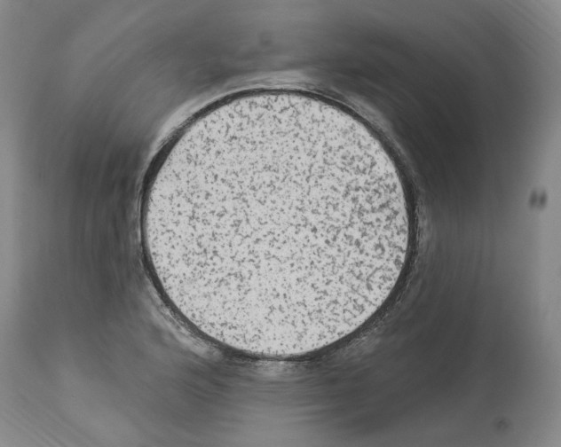 X0000113961176200911061319